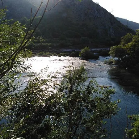 Sunn * Buna