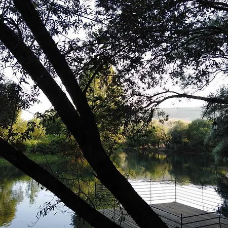 Sunn Pensión Buna