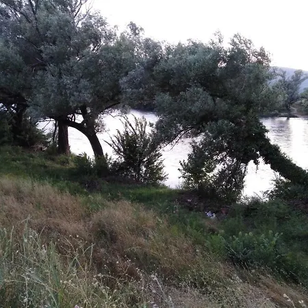 Pensión Sunn