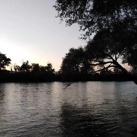 Sunn Pensión Buna