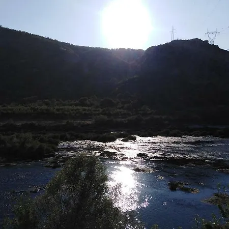 Sunn *