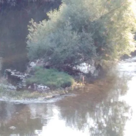 Pensión Sunn