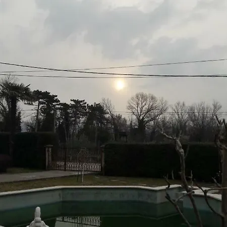 Sunn