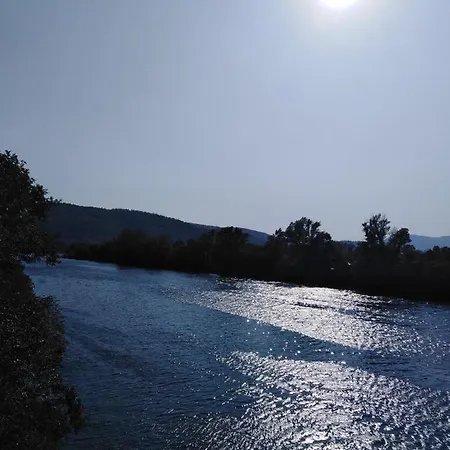 Sunn * Buna